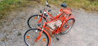 Mifa Fahrräder für Nostalgiker Sachsen-Anhalt - Hecklingen Vorschau