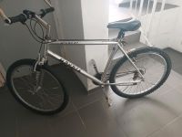 Verkaufe meine Fahrrad 26  Zoll Rad. Schleswig-Holstein - Flensburg Vorschau