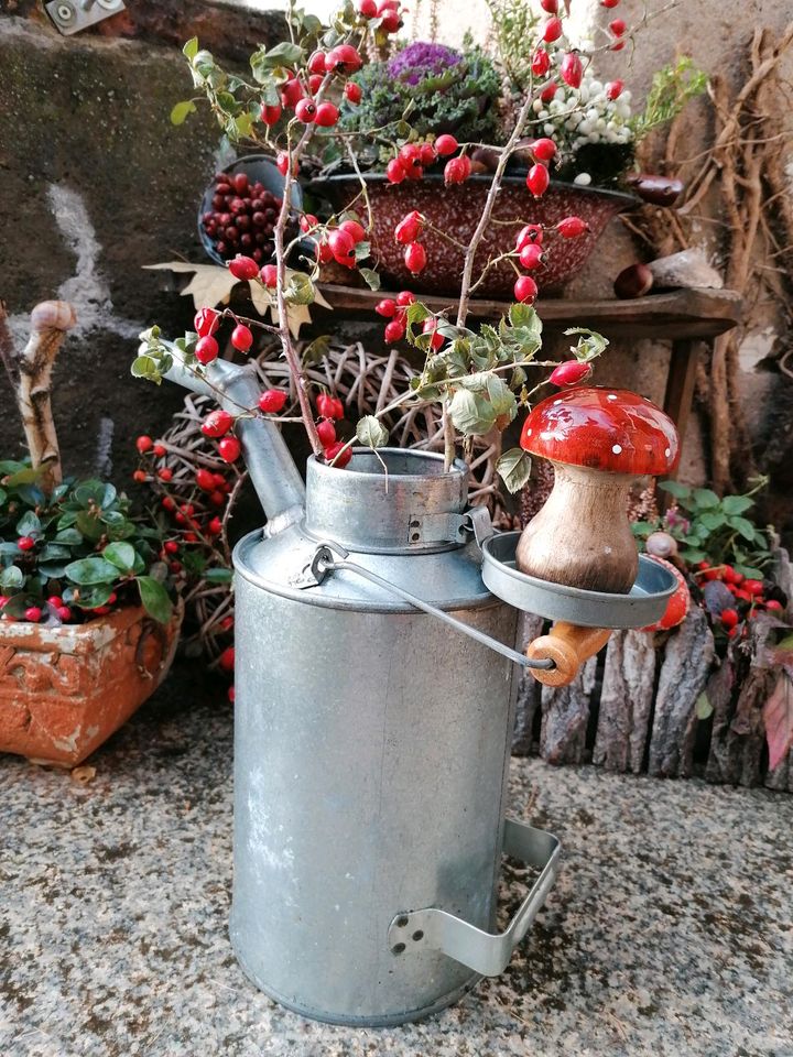 alte Ölkanne m. Henkel 5L. Gießkanne Zink-Kanne dicht Garten Deko in Niesky