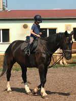 Pferd(e) Pflegebeteiligung für Jugendliche 13 1/2 Jahre Sachsen - Chemnitz Vorschau