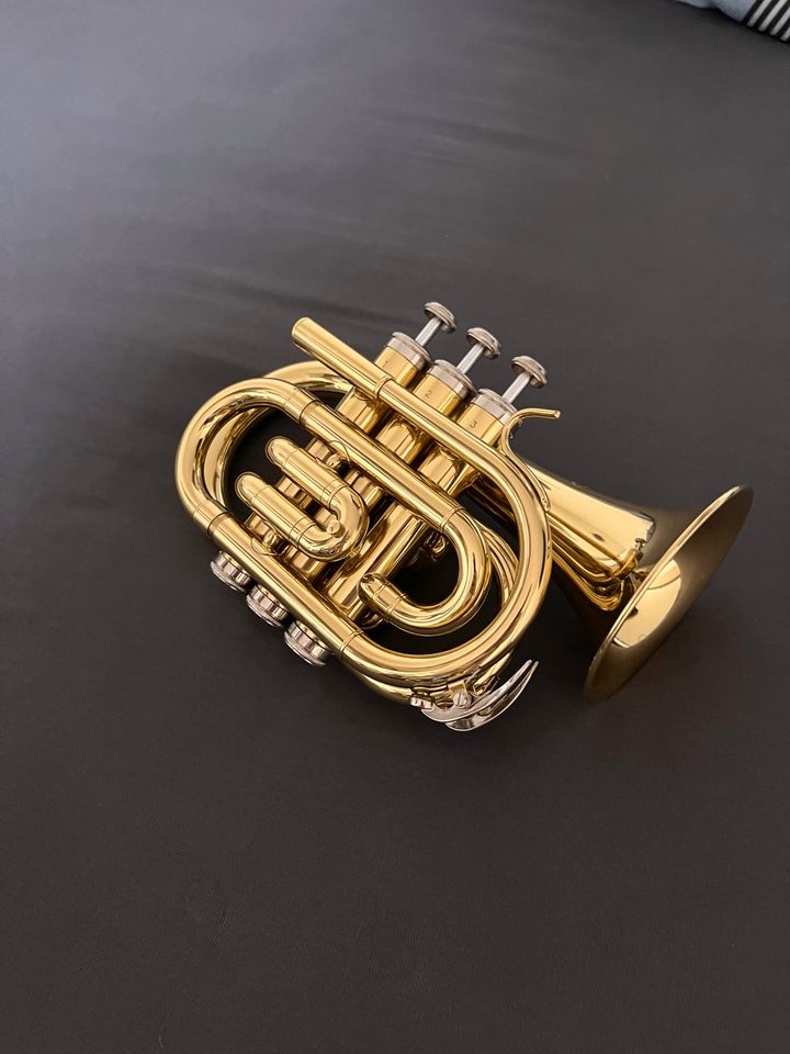 Classic Cantabile Brass TT-500 Bb-Taschentrompete Messing in Steinfeld