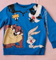 Jogginganzug Looney Tunes, Größe 110 Thüringen - Nordhausen Vorschau