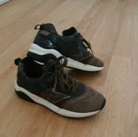 Sneaker Halbschuhe Gr.37 Geox Nordrhein-Westfalen - Detmold Vorschau