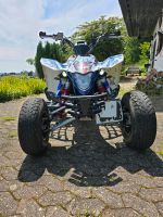 Suzuki LTZ 400 K9 Quad | LOF | TÜV Neu | 8 fach bereift | 2. Hand Saarland - Bexbach Vorschau