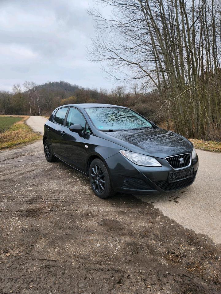 Seat Ibiza in Landshut