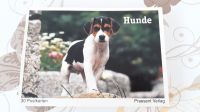Postkartensets je 30 Karten “Hunde“ “Faszination Wasser“ Baden-Württemberg - Metzingen Vorschau