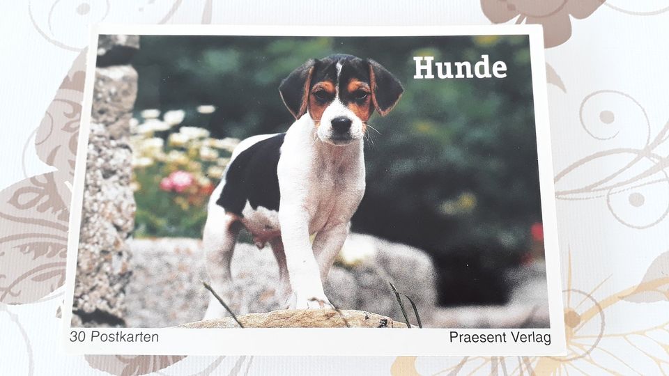 Postkartensets je 30 Karten “Hunde“ “Faszination Wasser“ in Metzingen