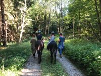 Wandern mit Eseln / Eselwanderung / Achtsamkeit Spaziergang Bayern - Bad Grönenbach Vorschau