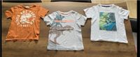 T-Shirts 110/116 und 116 je 2€ Saarland - St. Ingbert Vorschau