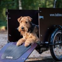 -30% Babboe Dog E Lastenrad, 500Wh, UVP 3099€, 4 Kids, 2024 Neuhausen-Nymphenburg - Neuhausen Vorschau