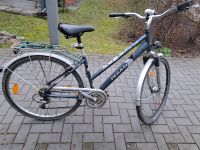 Verkaufe das schöne Fahrrad von Marke Pegasus 28 Zoll Niedersachsen - Lüneburg Vorschau