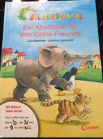 Buch Bilderdrache zum Lesen lernen Saarland - Wadgassen Vorschau
