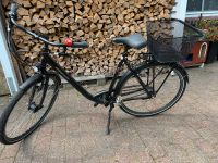 Vsf T50  Fahrrad Citybike Alu Tiefeinsteiger Nordfriesland - Winnert Vorschau