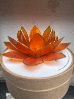 Lotusblume Lotus Blume Teelicht Halter orange/gold Nordrhein-Westfalen - Leverkusen Vorschau