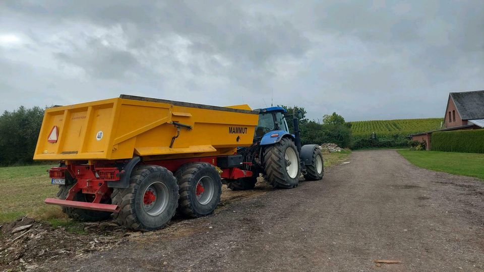 Transport, Mulde, Erde, Sand, Baustelle, Kipper in Gelting Angeln