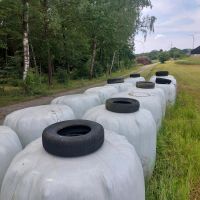 Siloballen aus 23 Bioqualität Baden-Württemberg - Frankenhardt Vorschau