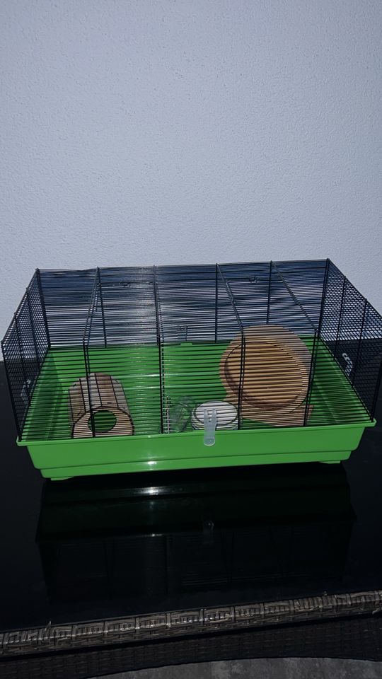 Käfig für Hamster,Mit Zubehör! in Kaufbeuren
