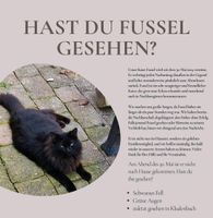 Kater Fussel schmerzlich vermisst... Rheinland-Pfalz - Kludenbach Vorschau