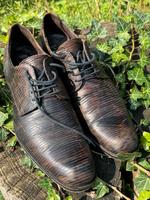 Lloyd Herrenschuhe Anzugschuhe Hochzeitsschuhe 42,5 (8,5) braun Hessen - Friedberg (Hessen) Vorschau