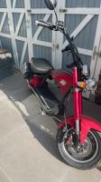 Harley Scooter Mecklenburg-Vorpommern - Neubrandenburg Vorschau