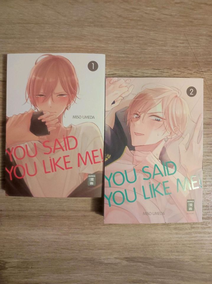 Manga - You Said You Like Me! 1-2 in Neubrandenburg