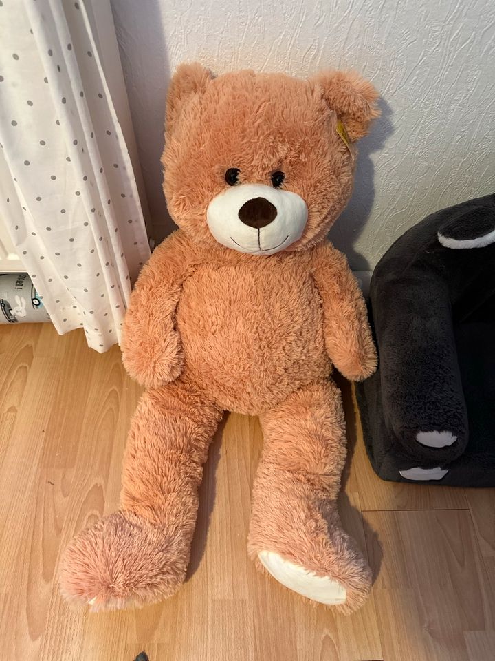 Teddybär Stofftieren in Hildesheim