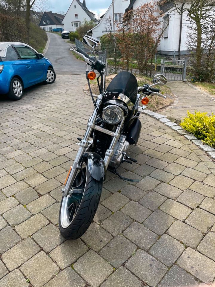 Harley Davidson Sportster 883 XL SuperLow in Arnsberg