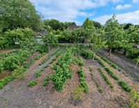 Kleingarten für Selbstversorger Niedersachsen - Friedeburg Vorschau