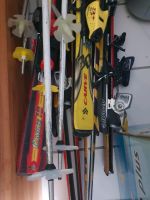 5 Paar Ski Nordrhein-Westfalen - Herford Vorschau