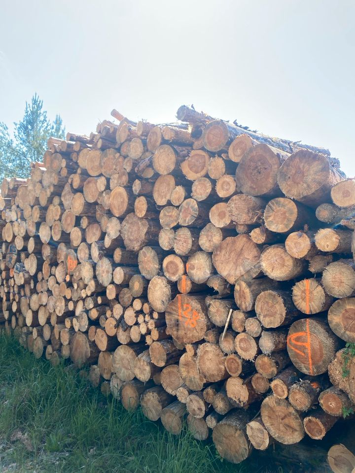 Holz, Brennholz , Kamin , Feuerholz, Holzstamm in Gröditz