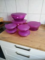 Tupperware eleganzia lila Baden-Württemberg - Kronau Vorschau