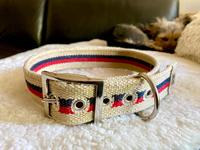Hunter Halsband ❤️ New Orleans Stripes Gr. XL Niedersachsen - Barum Vorschau