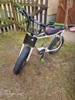 RUFF Cycles Lil Buddy Active 300 E-Bike One Size Brandenburg - Fürstenwalde (Spree) Vorschau