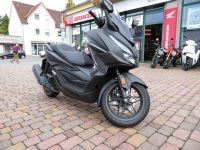 Honda NSS 125 Forza Hessen - Reinheim Vorschau