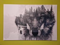 Bild wandbild Leinwand Wolf Wald schwarz weiß Black grey 120x80 Brandenburg - Ortrand Vorschau