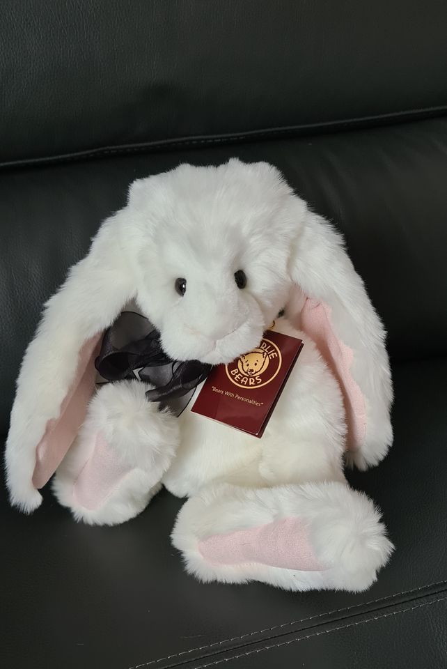 Charlie Bears Hase Magician´s Nephew - Jahr 2022 in Ronnenberg