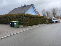 Gartenarbeit / Rasenmähen / Hecke schneide / Gehwegreinigung uvm Bayern - Coburg Vorschau