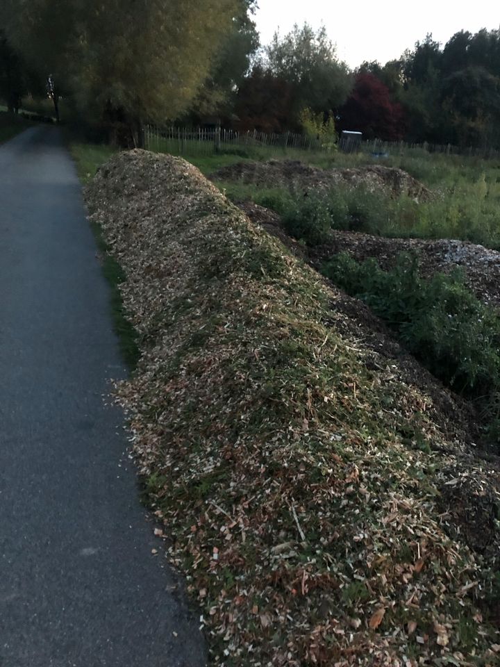 Baumfällung Sturmschaden Baumpflege Wurzelfräsen Hackschnitzel in Saerbeck