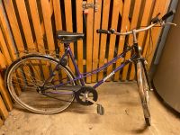 Original Jungherz 28 zoll Fahrrad Bayern - Ingolstadt Vorschau