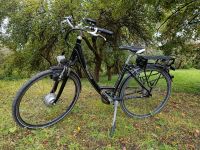 E-Bike Das Original - 004C Citybike 28" Hessen - Sinntal Vorschau