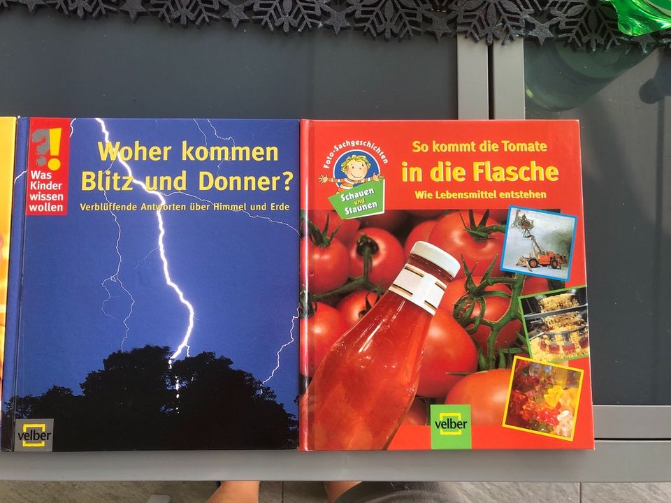 Was Kinder wissen wollen 4 Bücher in Ehingen (Donau)