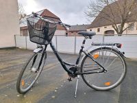 Damenfahrrad 28 Zoll Nordrhein-Westfalen - Bad Wünnenberg Vorschau