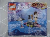 Lego 30205 Friends Popstar/ 40048 Birthday Cake Niedersachsen - Bruchhausen-Vilsen Vorschau