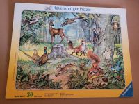 Ravensburger Puzzle Was lebt und wächst im Wald Bayern - Rötz Vorschau