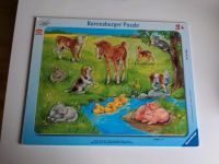Ravensburger Puzzle 10 Teile Tierkinder Baden-Württemberg - Weinstadt Vorschau