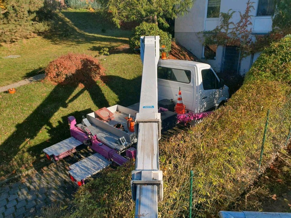 Heckenpflege - Rasenschnitt - Obstbaumschnitt zert. Baumkontrolle in Wittgensdorf