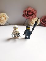 Neuwertige Lego Ninjago Figuren Nia und Zane Stück 6€ Niedersachsen - Harpstedt Vorschau
