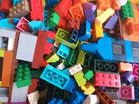 Lego Konvolut mit Grundplatten Rheinland-Pfalz - Landau in der Pfalz Vorschau