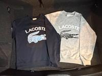 Lacoste Oberteil/Pullover Bonn - Bonn-Zentrum Vorschau