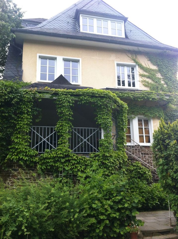 Villa im Weinanbaugebiet Moseltal in Burgen